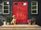Hund framför röd ytterdörr